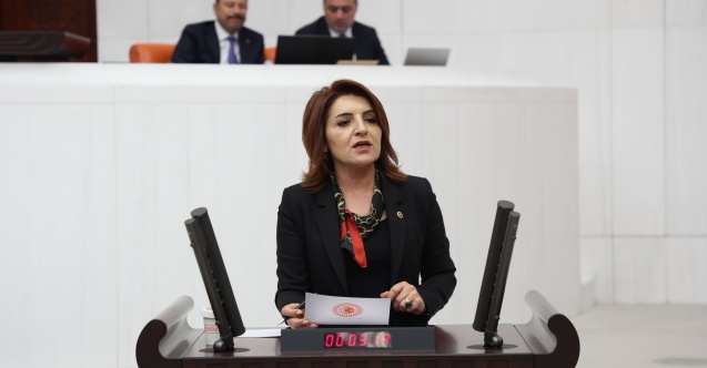 CHP'li Gülcan Kış: "Türkiye bir icra ülkesi oldu"