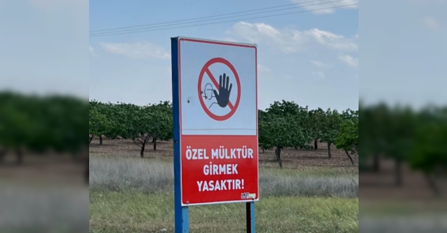 Karkamış Kuş Cenneti Tehlikede!