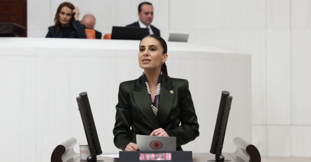 CHP'li Gizem Özcan: “AKP’nin ‘harika çocukları’ için zeytinlikleri katledecekler!”