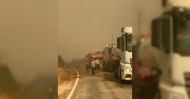 İzmir itfaiyesi tüm gücüyle sahada