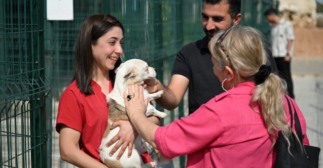 Pati Köy sahiplendirme merkezi ile can dostlar yeni yuvalarına kavuşuyor