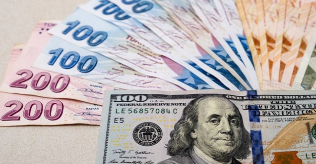 Türk lirası 2025'in ilk 5 ayında yüzde 11 değer kaybetti