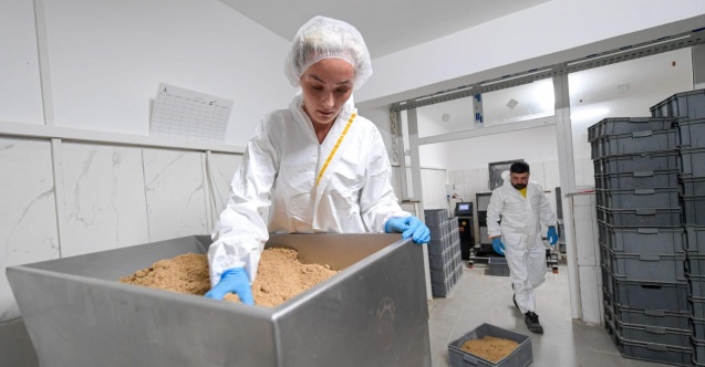 İzmir Büyükşehir Belediyesi can dostlar için mama üretiyor