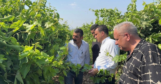 "Emeğimiz, alın terimiz hiçe sayılıyor"