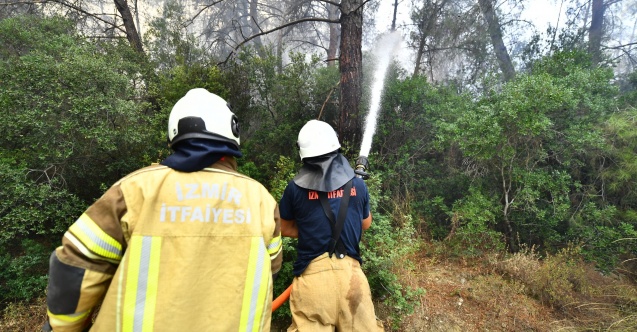 İzmir İtfaiyesi Menderes’te alevlerle mücadele ediyor
