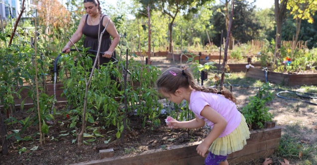 Ataşehir'de “Kent Bostanları” için başvurular başlıyor