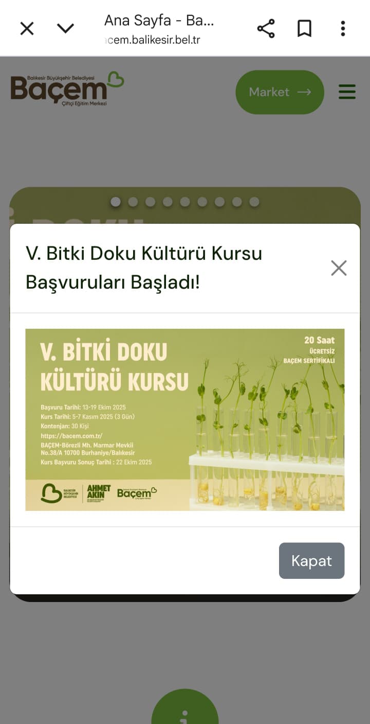 Balıkesir Büyükşehir Belediyesi çevrimiçi platformlarını yeniliyor