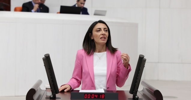 “İnsan Hakları İhlalleri Artıyor, Denetim Mekanizmaları Yok”