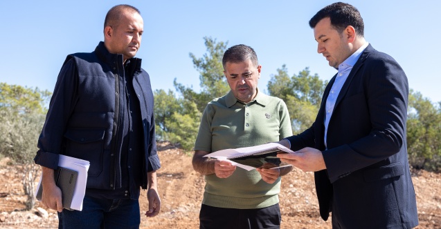 Mezitli Belediyesi'nden sokak hayvanları için "Doğal Yaşam Alanı"