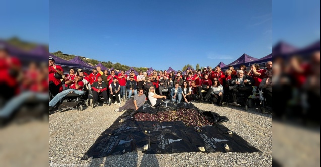 Engelli yurttaşlar ve yakınları zeytin hasadında buluştu