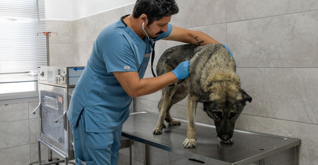 İzmirli hayvansever Çörekçi’nin emanetlerine İzmir Büyükşehir Belediyesi sahip çıktı