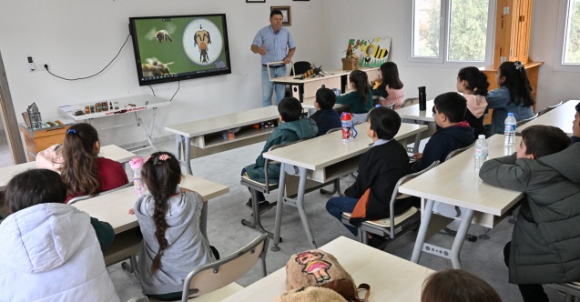 Öğrenciler, Arıların Dünyasını İnceleyerek Öğrendi