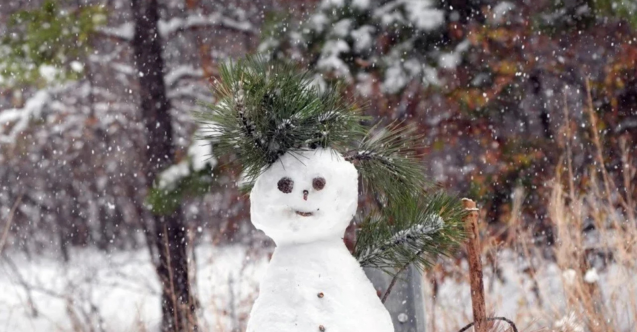Meteoroloji'den açıklama: Dondurucu soğuklar ne zaman gidiyor?