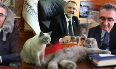 AKP Bayrampaşa#039;da hızını alamıyor: Hasan Mutlu#039;nun kedisi Bulut#039;a kayyum atandı!