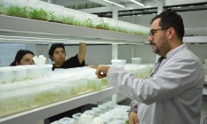 BAÇEMde V. Bitki Doku Kültürü Kursu Tamamlandı