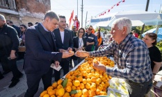 Mandalinanın başkentinde festival heyecanı