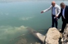 Dicle Nehri'ne kanalizasyon bağlanması hakkında suç duyurusu!