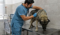İzmirli hayvansever Çörekçi’nin emanetlerine İzmir Büyükşehir Belediyesi sahip çıktı