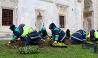 Bursa kışları da çiçek bahçesine dönüşüyor