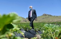 Adana'da Büyükşehir’den 2 yılda tarımsal kalkınmaya dev destek