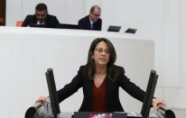 "Edirne'de doğa katliamı yaşanıyor"