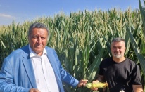 CHP'li Gürer: “Tarımsal atıklar yakıta dönüştürülmelidir”