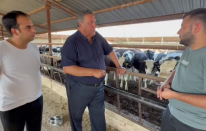 CHP'li Ömer Fethi Gürer: “Şap yayılıyor mu, önlendi mi?”