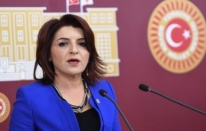 Gülcan Kış'tan Meclis'te tarihi Mersin çıkışı