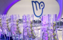 Anket: Toplumun yüzde 75’i Milli Piyango’ya güvenmiyor