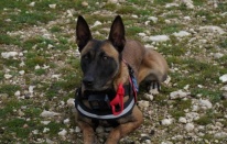 Balıkesir Büyükşehir İtfaiyesi “İda” ile güçlendi