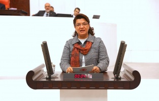 CHP'li Şahin: 'Demir-çelik sektörü ölüyor'