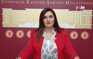 CHP'li Kılıç: 'Komisyon diğer şüpheli çocuk ölümlerini de araştırsın'