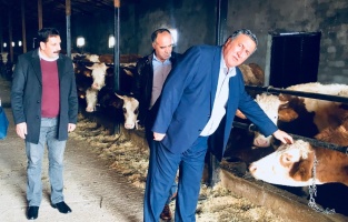 CHP'li Gürer: 'İthal hayvan hastalığı besiciye büyük darbe vurdu'