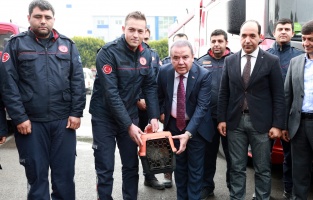 Depremzede kedi Antalya'ya getirildi