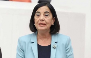 CHP'li Süllü: 'Tarıma destek plansız!'