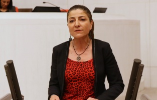 HDP'den mülteciler için soru önergesi