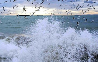 AKOM'dan İstanbul'a fırtına uyarısı