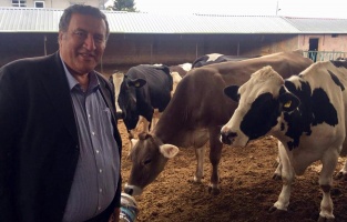 Gürer: 'Süt üreticisine seçim öncesi desteği dahi verilmedi!'