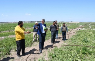 'İran karpuzu çiftçiyi mağdur, halk sağlığını tehdit ediyor'