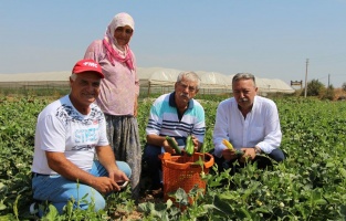 CHP'li Beko: 'Tarıma destek verilmemesi dehşet tablosudur!'