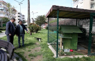 Başkan Tugay sokak hayvanlarını unutmadı