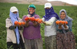 Başkan Yavaş'tan Ankaralı çiftçilerin yüzünü güldürecek destek!