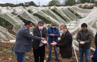 CHP'li Gökçel: 'Çiftçimizin kara gününde yanında olun'