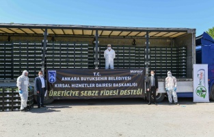 Başkentli üreticiye fide desteği başladı