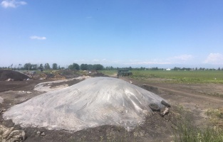 Seyhan'da, 'Çevre ve insan sağlığı' önlemleri