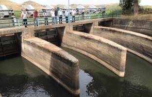 'Gediz Nehri'nden pis kokular yükseliyor'