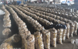 'Patatesin başkentine ithal patates'