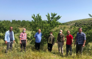 Çiftçiler Günü'nde 'badem'e destek çağrısı