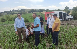 'Çiftçimizi koronadan sonra dolu vurdu'
