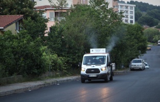 Kartal Belediyesi'nin sivrisinek mücadelesi başladı